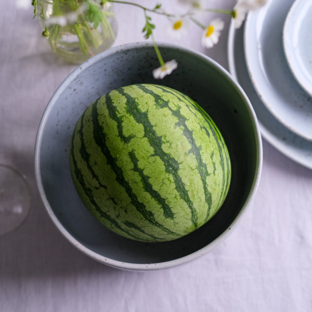 Salad Bowl
