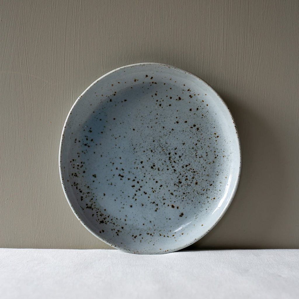 Lunch Plate