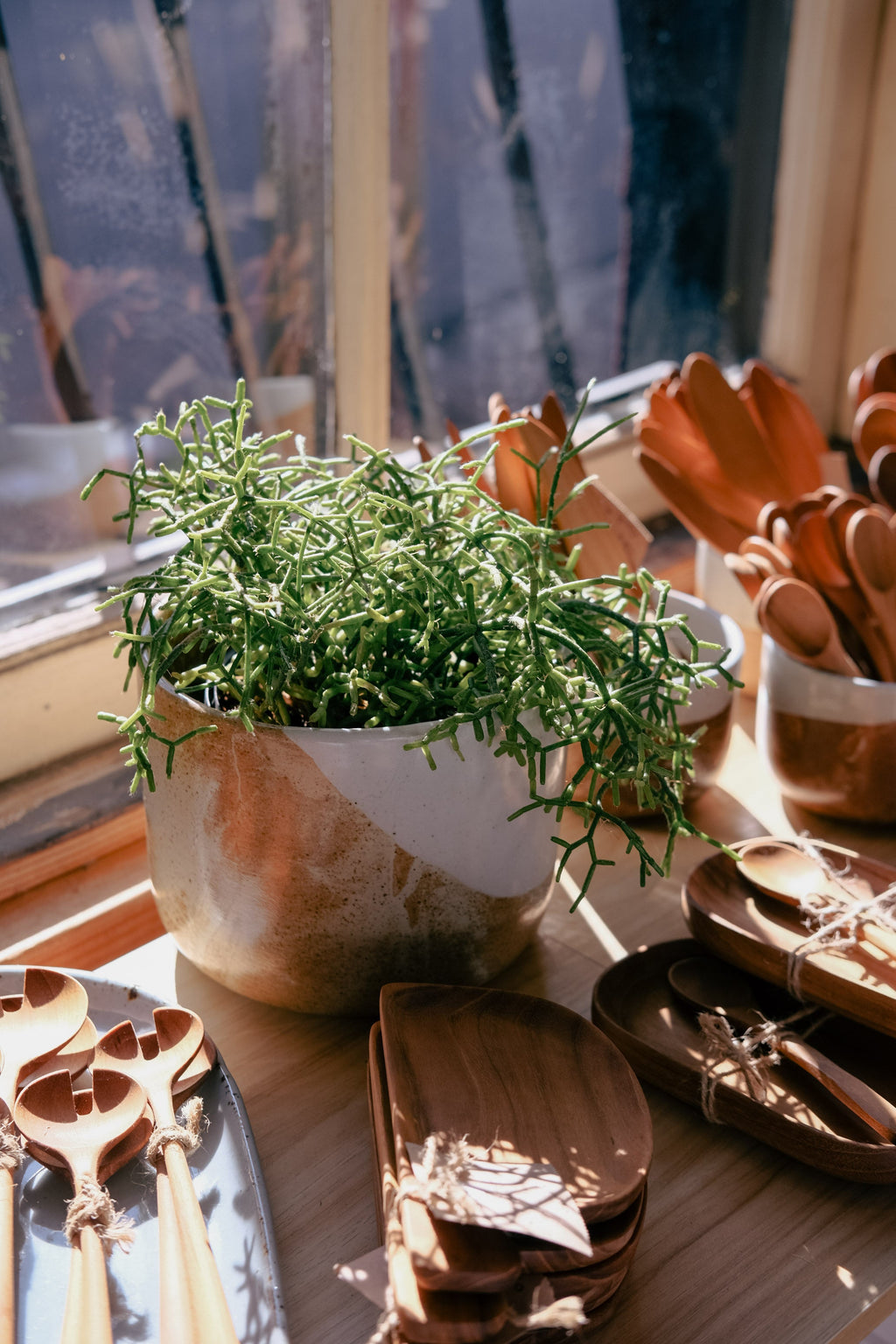 Planter & Vase