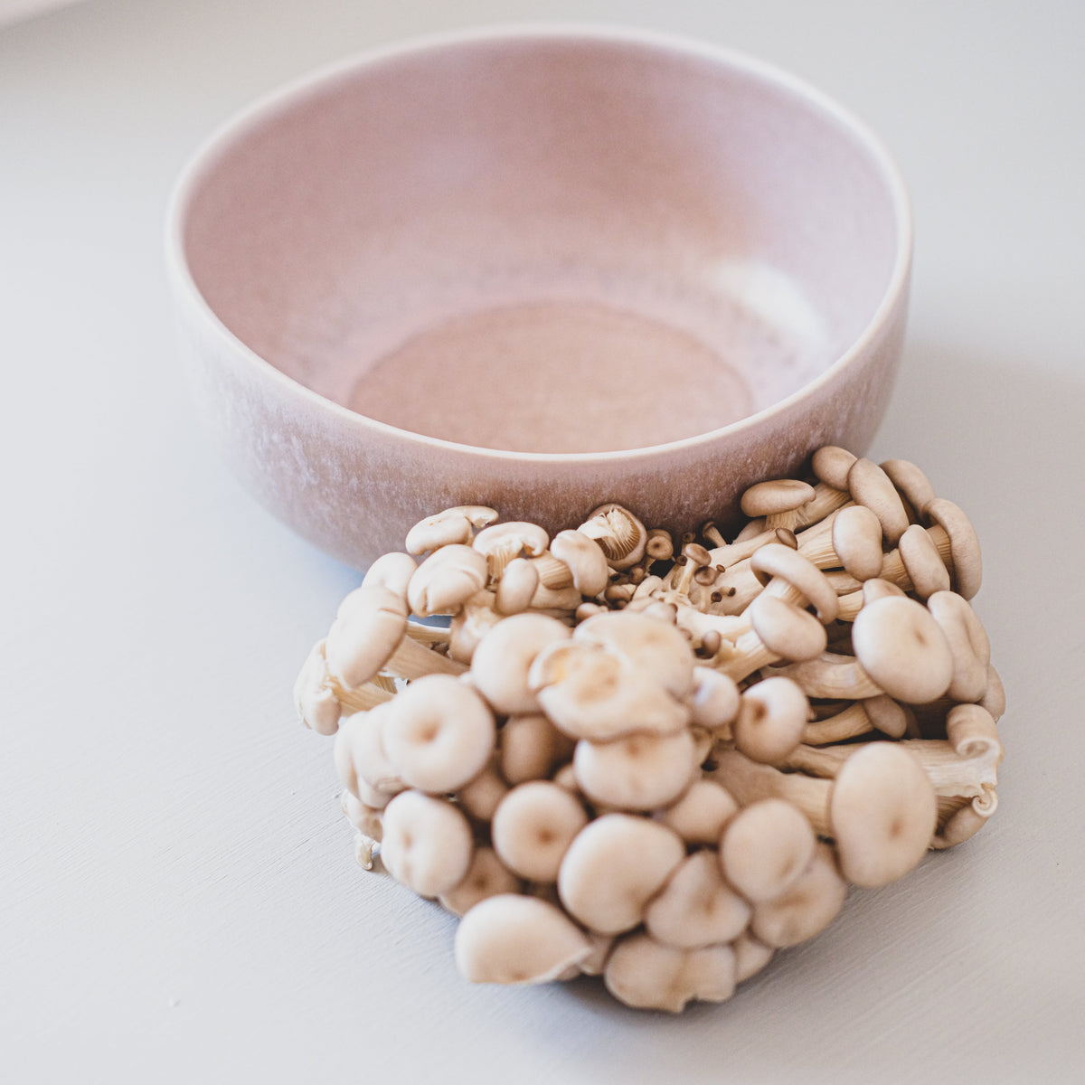 Cereal Bowl